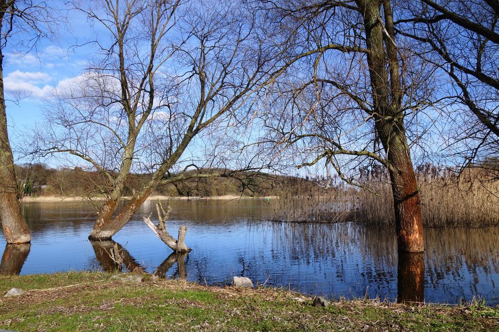 Ferienhaus "Am Gutspark" Alt Tucheband Esterno foto