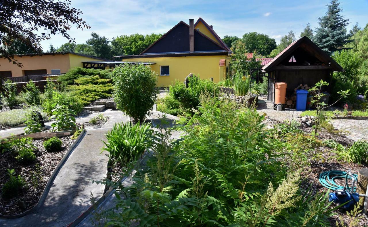 Ferienhaus "Am Gutspark" Alt Tucheband Esterno foto